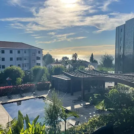 Magic Home, Everything Need. *